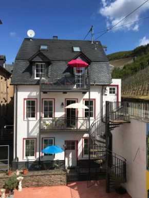 Mosel Ferienhaus Reblaus